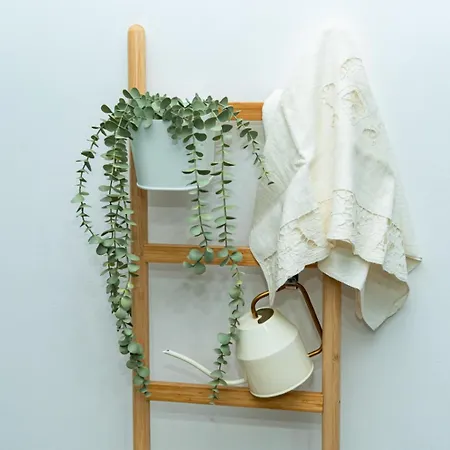 Dimora Montessori - Centro Storico Vasto